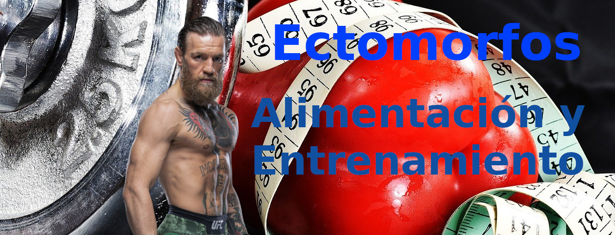 Ectomorfo Alimentación Suplementos Y Entrenamiento Para Aumentar Músculo